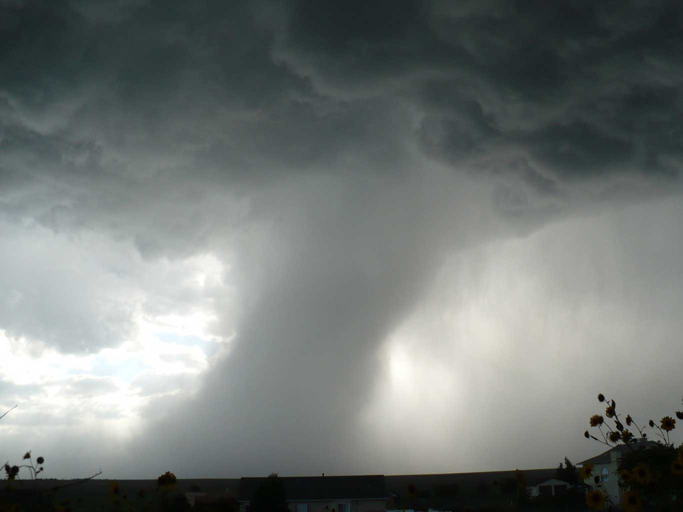Natural Disasters and Severe Weather