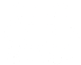 Peer Support