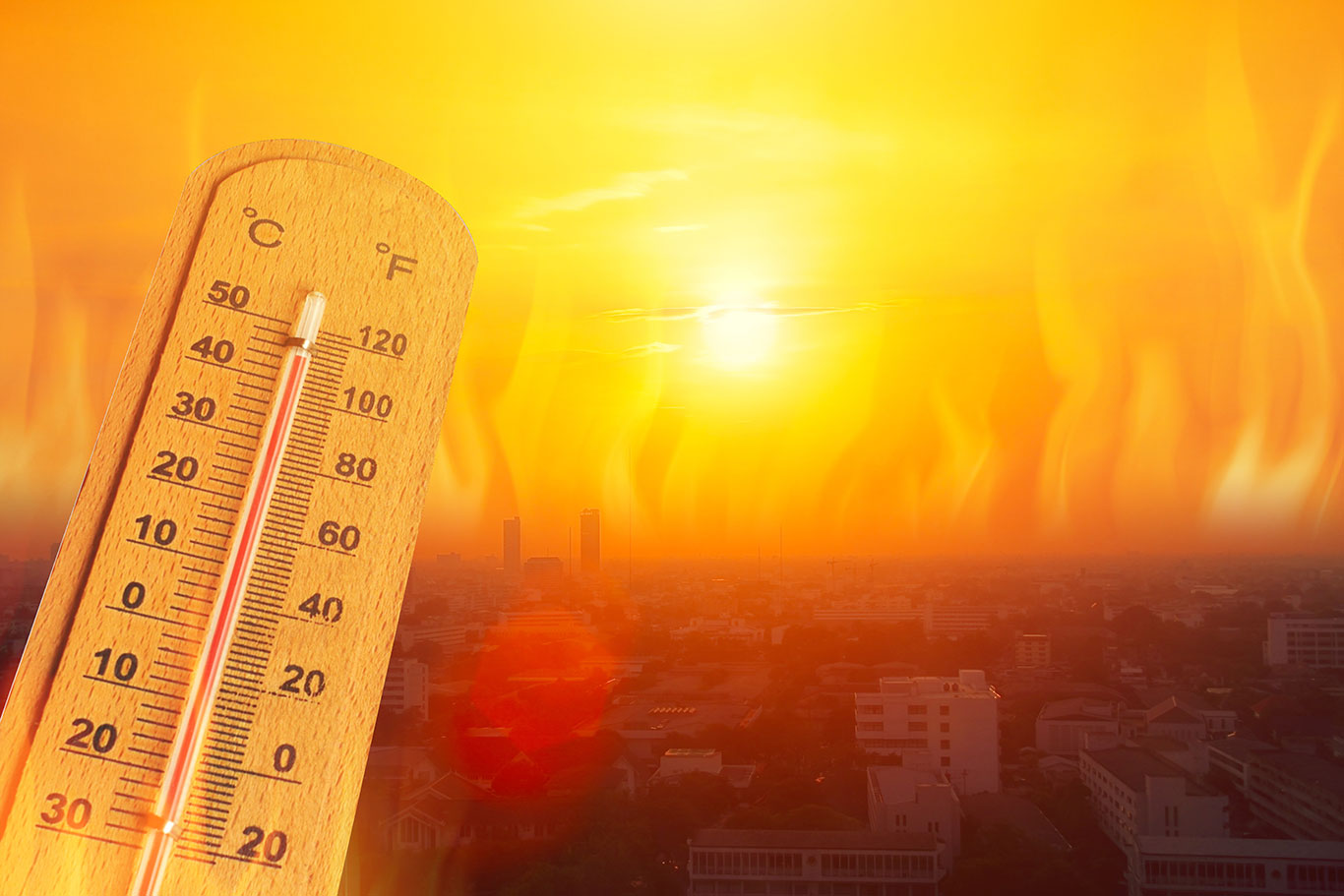 Heat Wave