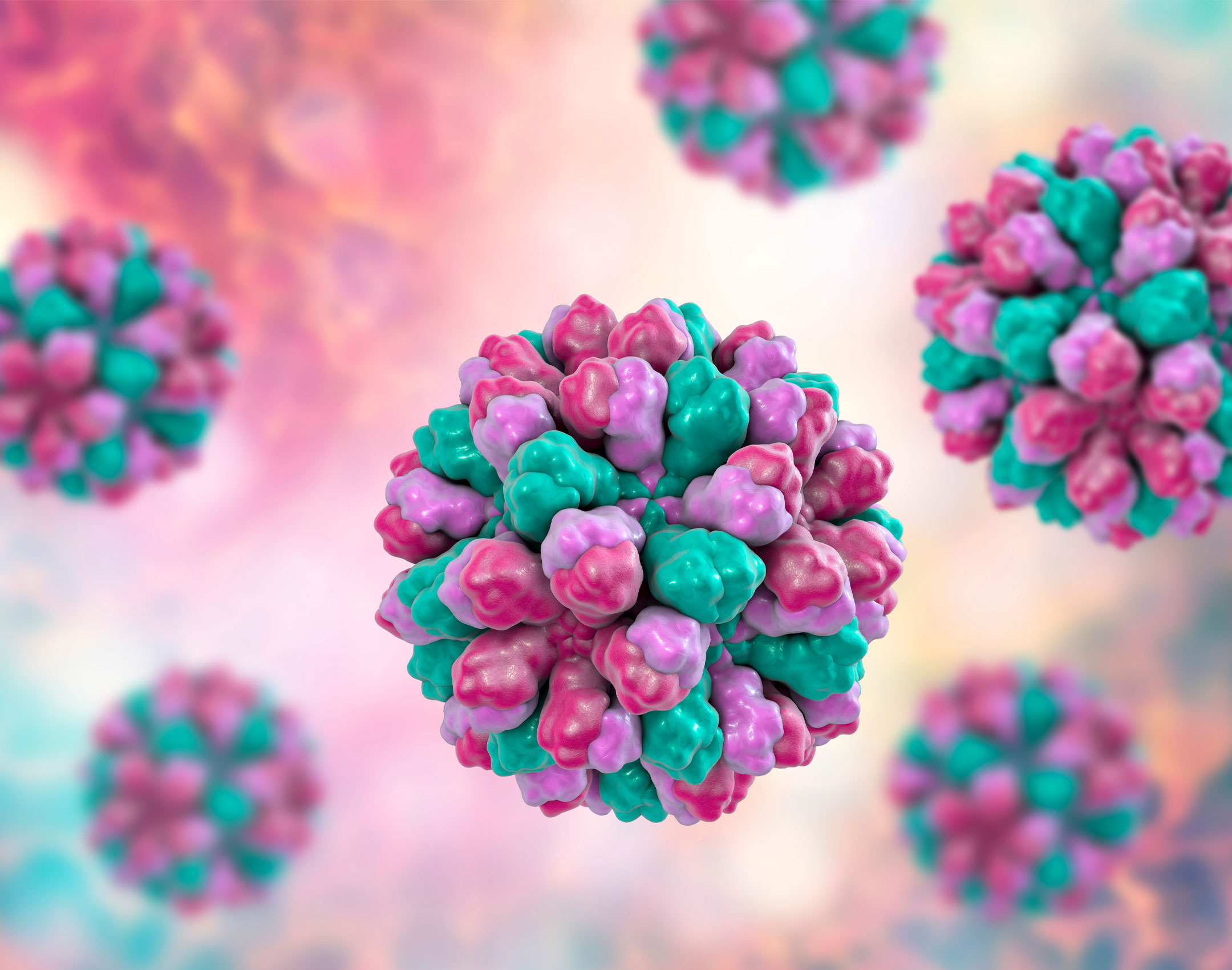 norovirus